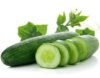 Salad Cucumber 250g