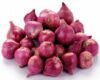 sambar Onion 500g
