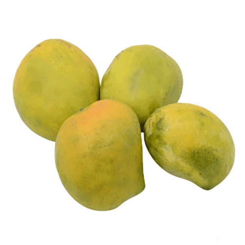 Nadusalai / Pether 3 Kg box | A Grade