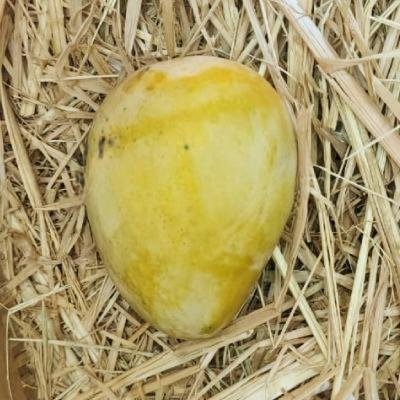 Nadusalai / Pether 3 Kg box | A Grade