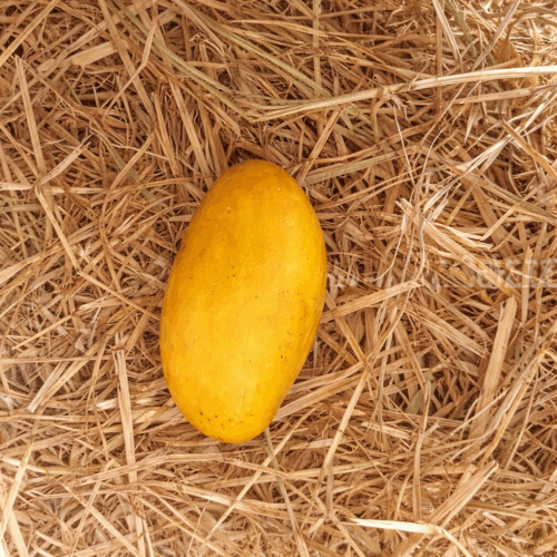 Mallika Mango 3Kg Box | A Grade